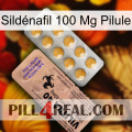 Sildénafil 100 Mg Pilule 41